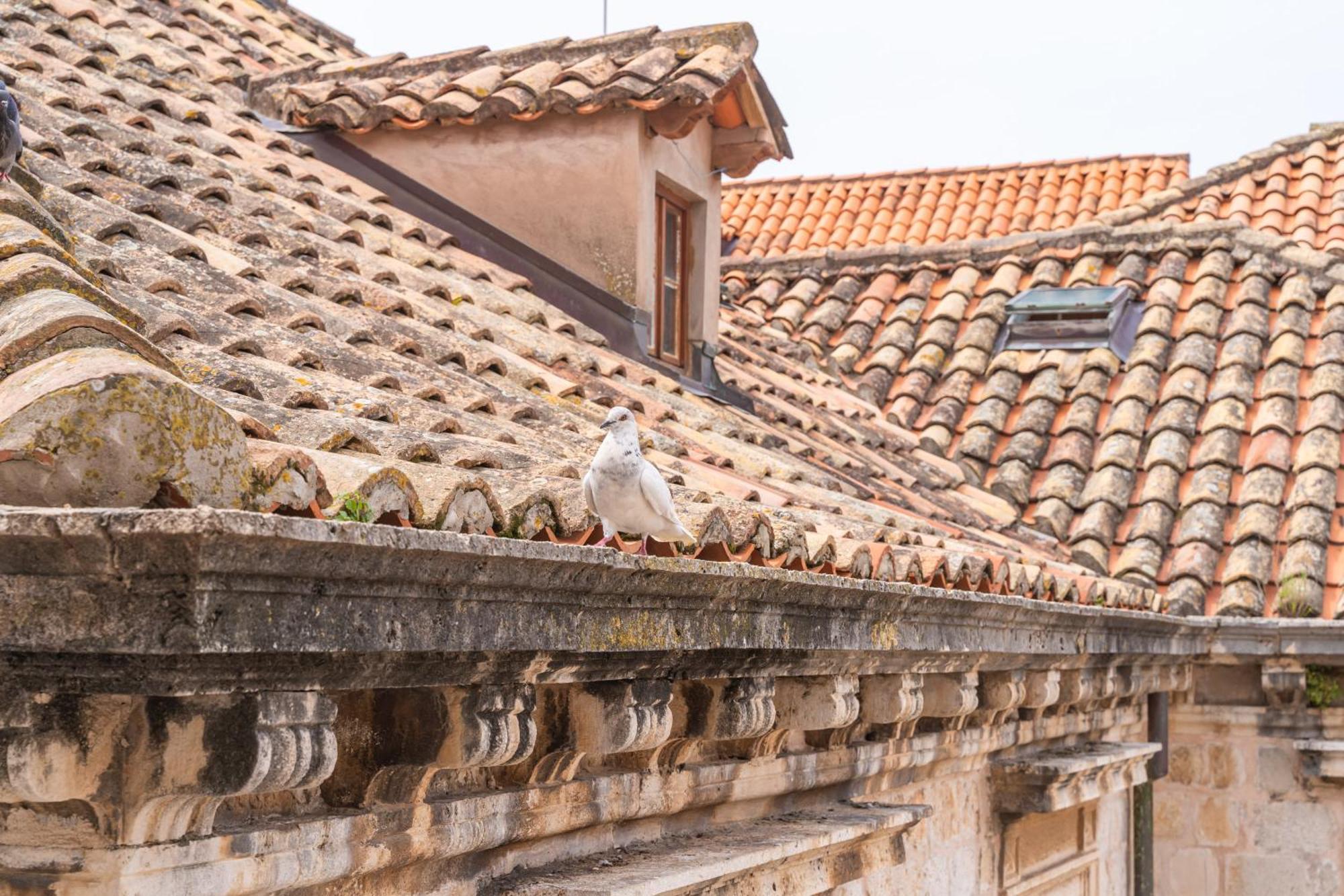 Kenova Apartments Old Town Dubrovnik Exterior foto